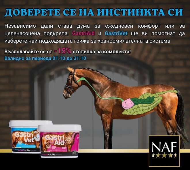Dobavki Konen sport